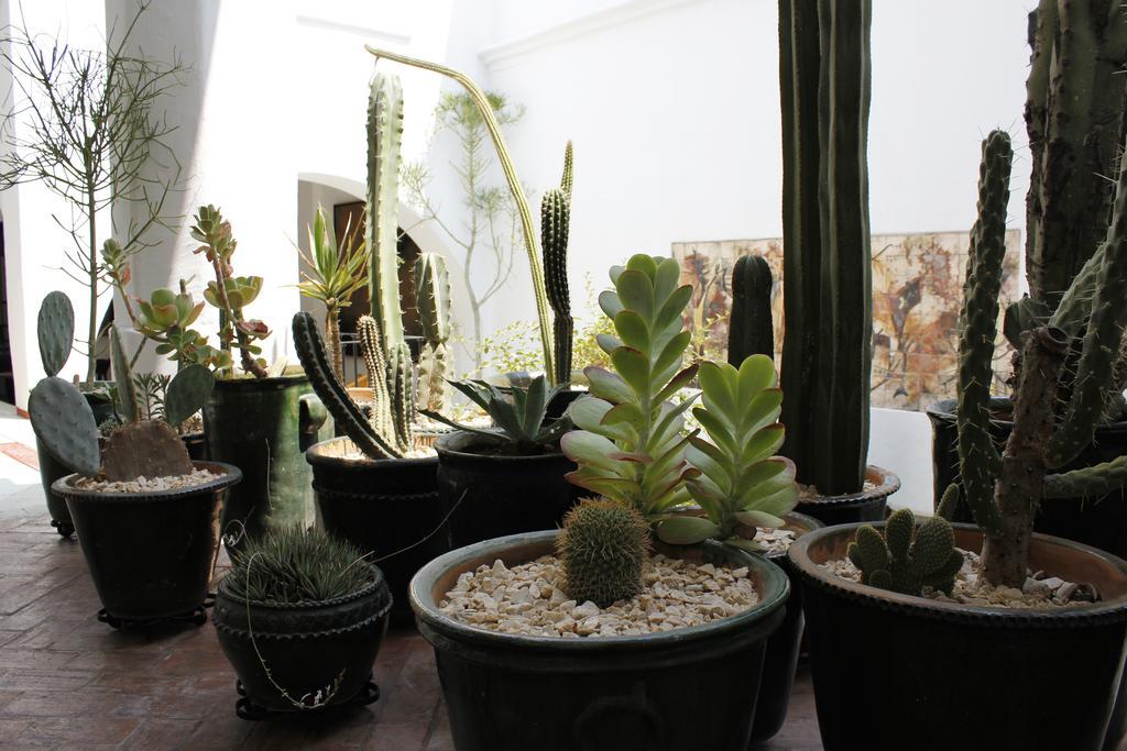Casa Oaxaca Hotell Eksteriør bilde